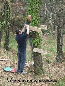 Construire une cabane dans les arbres : les étapes en image