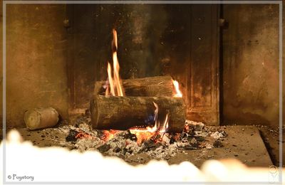 La buche de noël 