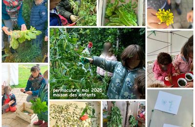 ateliers permaculture de mai 2025 en classe de Maison des Enfants