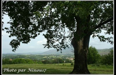 séquence paysage