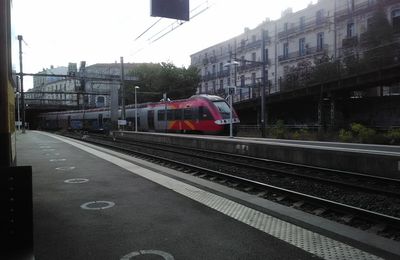 SERM : l'offensive d'"Objectif RER métropolitains" pour faire avancer et financer les 24 projets labellisés