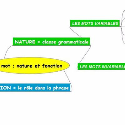 CARTE FRANCAIS : LE MOT : nature et fonction