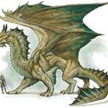 Heroic Fantasy / Dragon