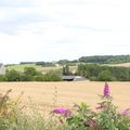 Un dimanche après midi à la campagne...