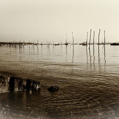 BASSIN D'ARCACHON