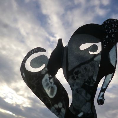 dans l'air du coucher de soleil