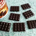 mini-tablettes de chocolat cru très intenses 100% cacao cru (diététiques, bio, sans gluten ni sucre ni lait, riches en fibres) 