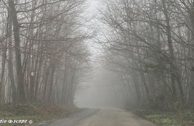 Boigny-sur-Bionne dans le brouillard