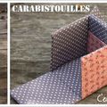 Carabistouilles