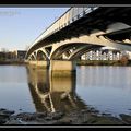 Bords de Loire à Saint-Sébastien