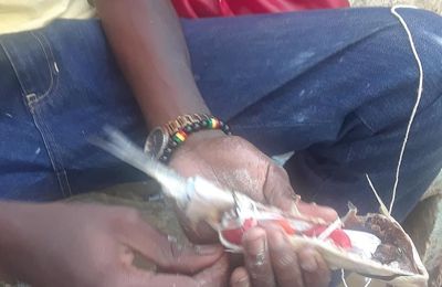 RETOUR AFFECTIF PUISSANT MEDIUM AFRICAIN SERIEUX MANIGRI: Puissant retour affectif avis, Retour affectif rapide de mon ex mari