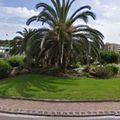 Rond-point à Ajaccio (Corse)