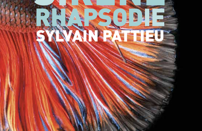 Musée des confluences : Nouveau récit d'objet, Sirène rhapsodie de Sylvain Pattieu