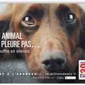 Un animal ne pleure pas...............