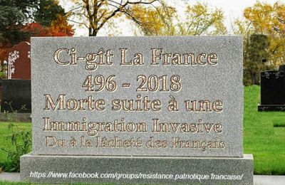 Faschosphère et fausse résistance 