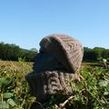 Rentrons dans l'automne, préparons l'hiver avec le bonnet et le col Morvan!