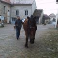 PAPY & LE CHEVAL