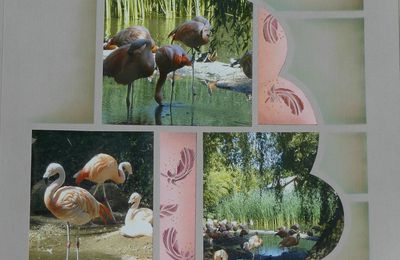 Les flamants roses de Jersey ; page simple réalisée avec le gabarit Eole