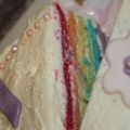 Mon gateau d'anniversaire le rainbow cake