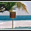 Plage de la grande anse 