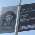 The Art of Looking