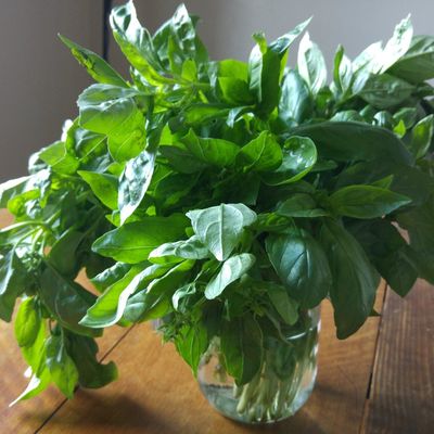 Efficacité culinaire