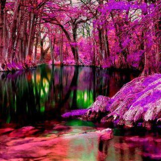 Comment se soigner grâce à la nature?