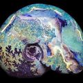 Opalized Ammonite, Selenite, Quartz, Hyalophane, Vesuvianite, Pyromorphite, Stephanite, Polybasite