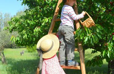 le goût des cerises...