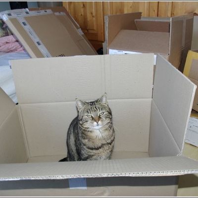 absente je pense un certain temps ...