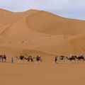 guide désert mhamid au maroc