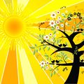 Solstice