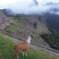 Le machupichu, merveille du monde