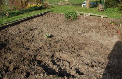 Vous vous demandez où en est mon jardin,