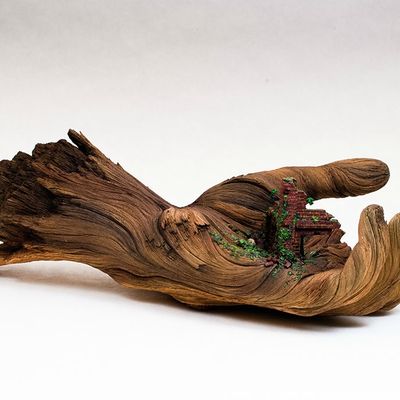 Le bois : un matériau écologique 