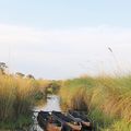 échappée belle au botswana #4 (en mokoro sur l'okavango)