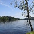 Balade dans l'île de Vassivière (Creuse) le 31 juillet 2024 (1)