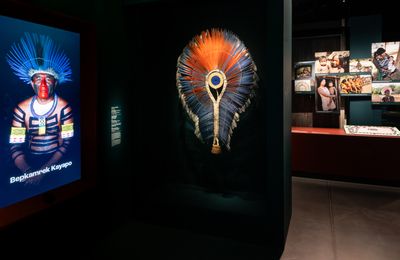 Au musée des Confluences, découvrez les différents visages de l’Amazonie brésilienne 