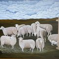 Moutons sur la lande