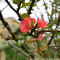 18/07/16 : La bastide de Virac, le village # 3