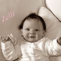 977 - Zelli (adoptée)