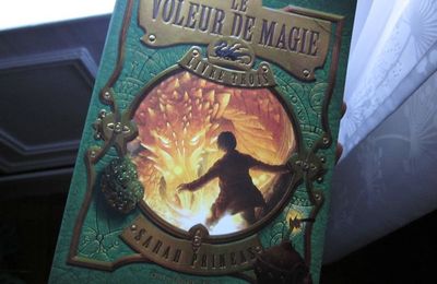 Le Voleur de Magie (tome 3)