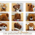 Les peluches en marron