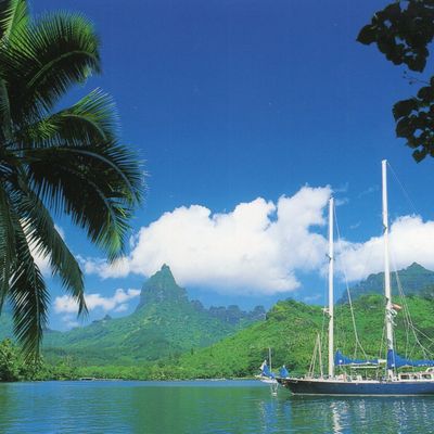 POLYNESIE FRANCAISE - Edition: BLU