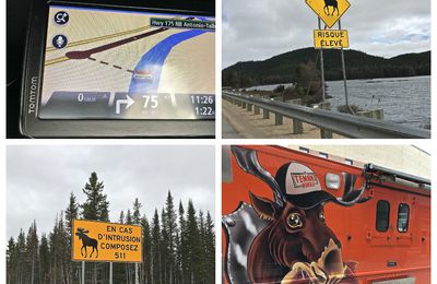 Fin du voyage : Chicoutimi, Tadoussac, Baie Sainte-Catherine, La Malbaie, Trois-Rivières, Ottawa