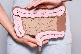 Traitement des Maladies de l’Intestin Grêle : Approches et Innovations