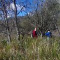 Rando Warra national park