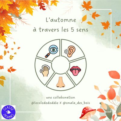 L'automne à travers les 5 sens