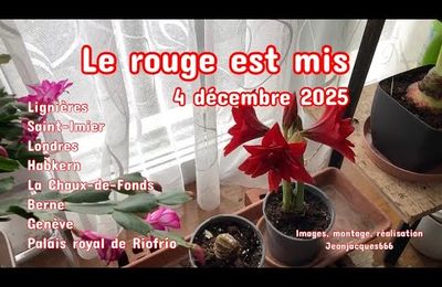 Les mois d’hiver - Rouge