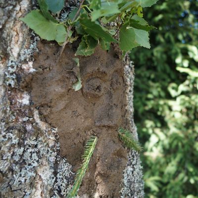 Land Art - Episode 1